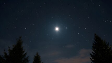 A brilliant celestial object shines brightly amidst a vast starry night sky with dark evergreen trees silhouetted against the horizon