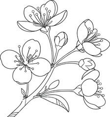 vector illustration of flowers