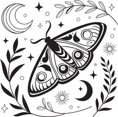 black and white butterfly