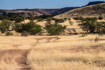 Eindrücke im Damaraland