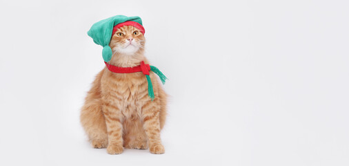 Ginger cat in elf hat and red scarf, sitting on white background, studio, copy space, cute holiday pet portrait, Christmas concept, minimal clean composition, perfect for ads and social media.