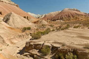 Fototapeta premium Aktau Mountains, are a unique geological formation, the bottom of a dried-up ancient ocean in Altyn-Emel National Park. UNESCO Biosphere Reserve. Kazakhstan. Asia.