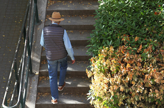 Hombre mayor con sombrero subiendo las escaleras junto a arbustos, matorral y planta de hoja verde, naranja y amarilla