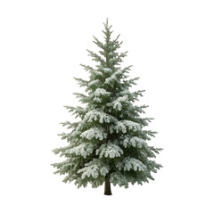 Fototapeta premium PNG Snow-covered evergreen tree illustration.