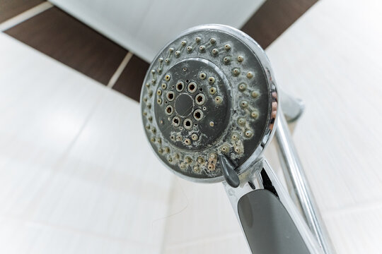 Cleaning limescale from shower fixtures, Homeowner removing mineral deposits from shower heads, Closeup of clogged shower nozzle with mineral buildup and homeowner performing cleaning tasks