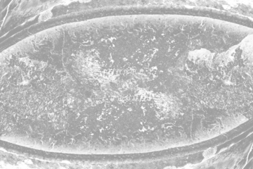 Grunge Metal Background - Distressed Rough Crusted Old Metal Plate Overlay Texture