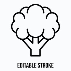 Fresh Green Broccoli Healthy Organic Vegetable Isolated Lineal Vector Icon, Editable Stroke.