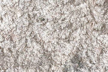 Grunge Cement Plaster Texture. Concrete wall Textured of Rough and Cracked with Black and White Color. Grunge Background with Copy Space