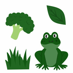 Educational illustration showing green objects for kids to learn colors. Includes frog, broccoli, grass, and leaf. Perfect for preschool color learning, printable worksheets, and classroom activities.