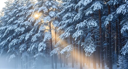 Golden sunlight streams through a magical snow-covered pine forest creating a serene winter scene