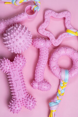 Fototapeta premium dog toys