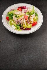 Salad chicken meat and vegetables tomato, green leaf lettuce, onion natural product tasty snack fresh delicious gourmet food background on the table rustic top view copy space keto and paleo diet