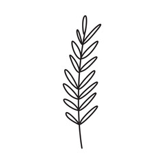 Flower and Leaf Hand Drawn Illustration