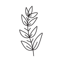Flower and Leaf Hand Drawn Illustration