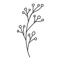 Flower and Leaf Hand Drawn Illustration