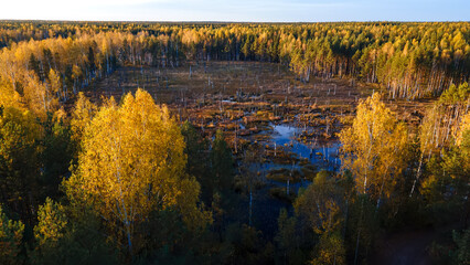 Aerial view of peat bogs on an autumn day