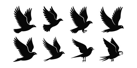set of bird silhouette icon. Collection of eight black silhouette bird illustrations in various flying poses with textured wings