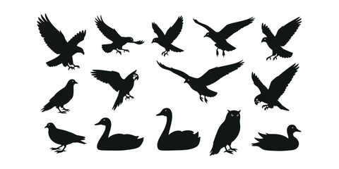 Fototapeta premium bird silhouette icon set. Collection of silhouettes of various birds in flight and standing poses. set of bird silhouette icon.