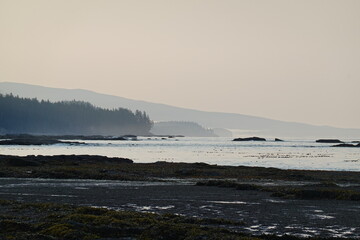 Rugged coastline of the Pacific Northwest at dusk