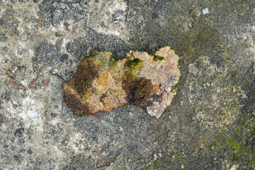 Old Rusty Corroded Metal Texture Pieces with Torn Rough Edges on Concrete Floor.