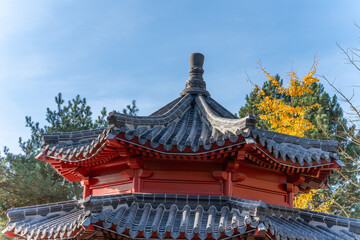 Red pavilion roof and sky. Traditional East-Asian pavilion roof with grey tiles and red beams. Yellow ginkgo Ginkgo biloba glows behind.