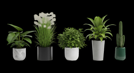 Collection of five potted houseplants isolated on transparent background