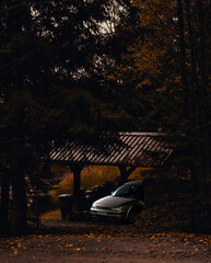 Serene scene of car nestled in wooded shelter during twilight