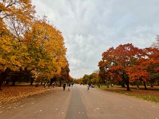 Obraz premium autumn road in the park