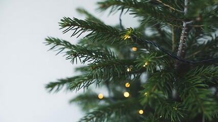 Close up of a christmas tree with lights isolated on white background