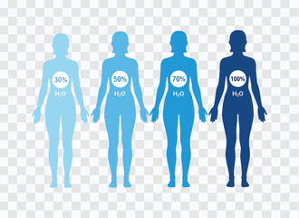 Human Body Water Percentage Chart – H₂O Levels Infographic Design for Health, Fitness, and Wellness Education