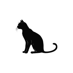 Obraz premium Sitting Cat Silhouette