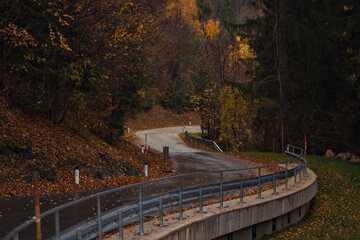 Winding concrete corridor with metal sides in autumn woods at twilight