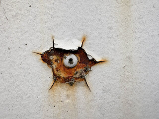 Aged metal texture. A rusty nail protrudes from beneath cracked white paint on a rusty metal...