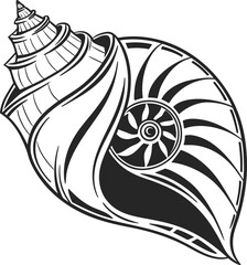 Black and white conch shell illustration vector drawing of marine gastropod mollusk on white background with ink outline