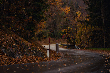 Winding concrete corridor with metal sides in autumn woods at twilight