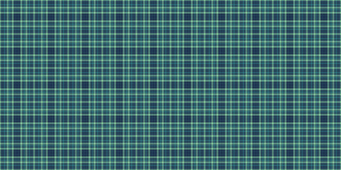 Detailed plaid pattern of intersecting teal lines on dark blue. Use for backgrounds, textiles, or designs with a classic, versatile aesthetic.