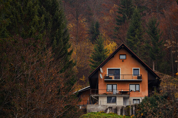 Rustic cabin amid pine trees with vibrant autumn colors
