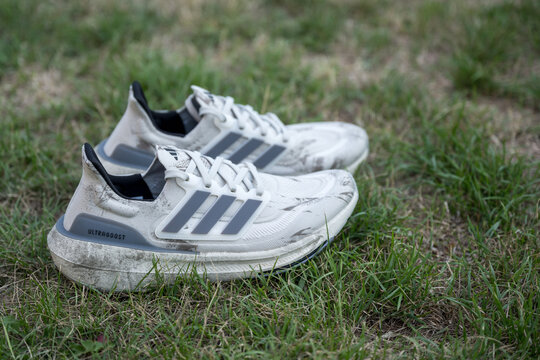 Adidas Ultra Boost Images  Browse 234 Stock Photos, Vectors, and Video |  Adobe Stock