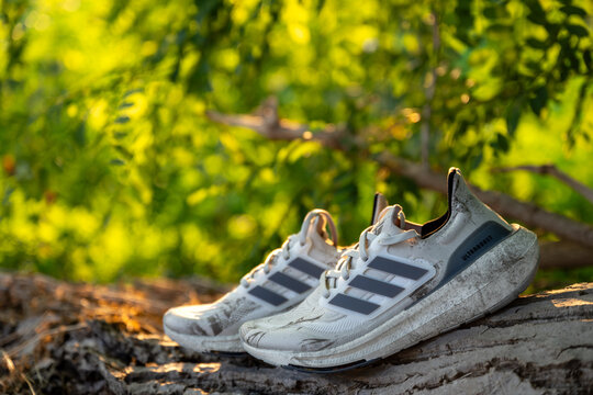 Nis, Serbia - 25 July, 2025. Close-up of a pair of dirty Adidas Ultraboost running sneakers resting on a tree log in nature. Warm evening light and soft green bokeh. 