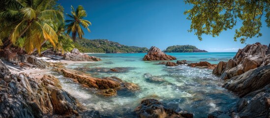 Tropical beach scene with turquoise water palm trees and rocky coastline under blue sky