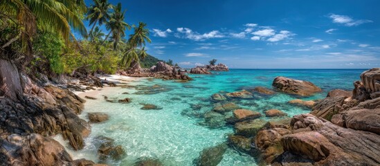 Tropical beach scene with turquoise water palm trees and rocky coastline