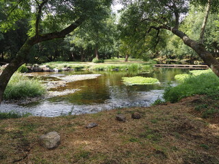 el r&iacute;o Ulla a su paso por la villa de Santiso, provincia de La Coru&ntilde;a, lugar tranquilo que transmite sosiego y calma para disfrutar de la flora y la fauna del lugar, Galicia, Espa&ntilde;a, Europa