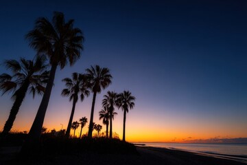 Fototapeta premium Silhouette of palm trees at sunset on a tropical beach