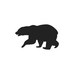 Fototapeta premium silhouette of wild bear