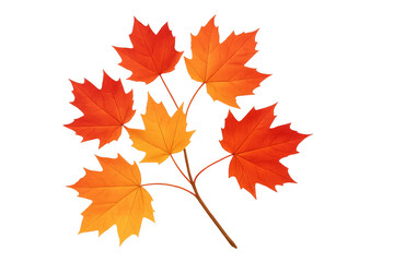 Fototapeta premium Maple leaves branch displaying vibrant autumn colors, orange and red falling foliage, transparent background for seasonal designs