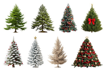 PNG Diverse festive Christmas trees collection, element set on transparent background
