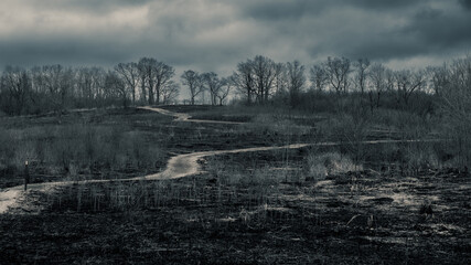 Dramatic Burned field from controlled burn