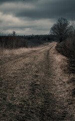Dramatic Burned field from controlled burn