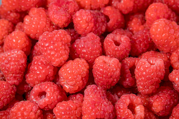 Close-up view of a heap of fresh, ripe raspberries with vibrant red color and juicy texture. Natural background for healthy eating and organic food themes. 