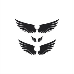 Fototapeta premium wings vector